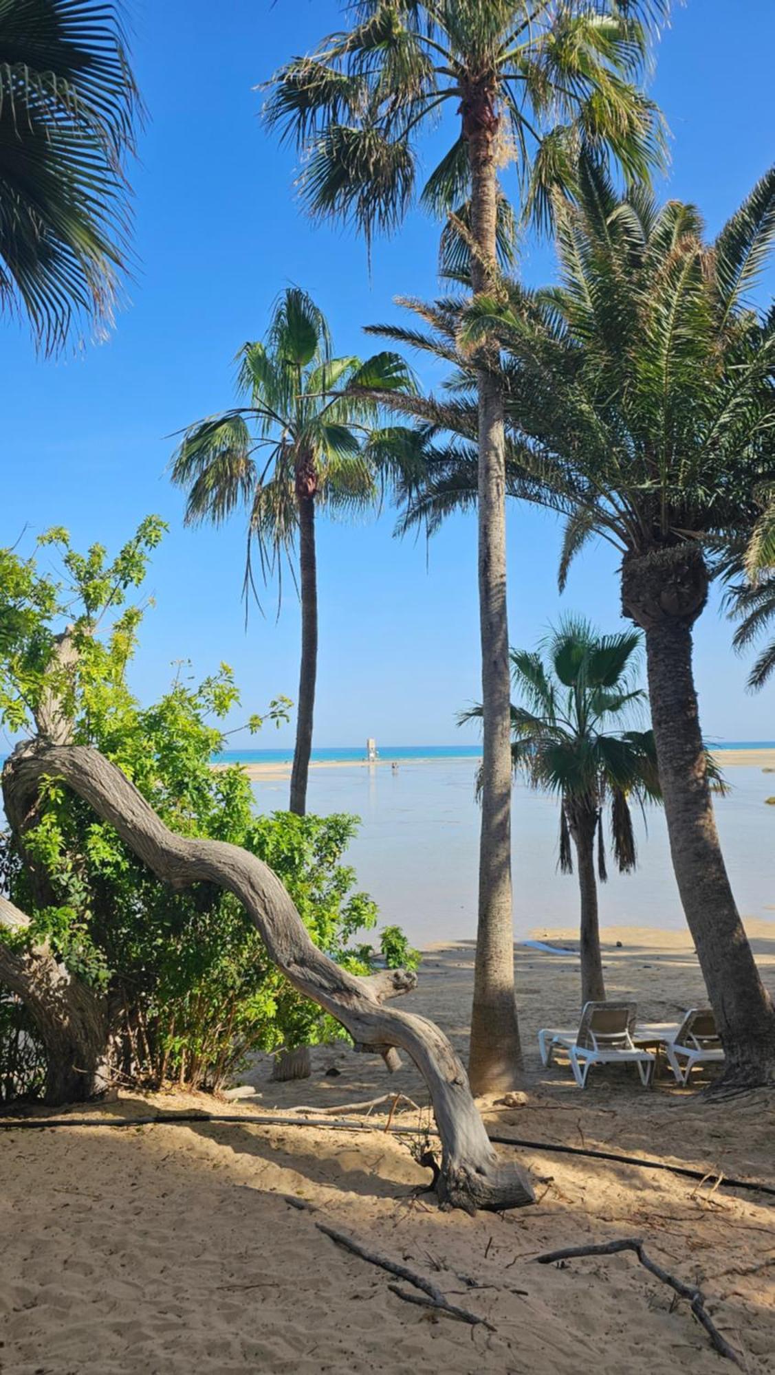 Villa Sotavento Modern New Apartment In Park Natural Adults Only Playa Jandia 外观 照片